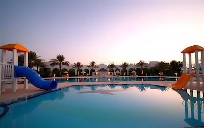 تولیپ این ال راهبا