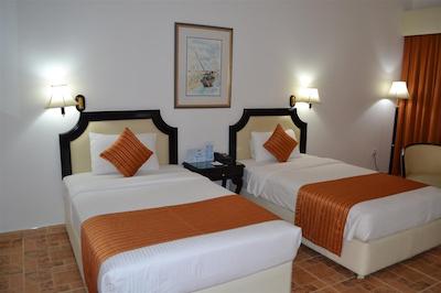 تولیپ این ال راهبا