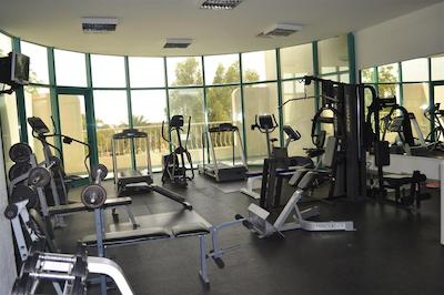 تولیپ این ال راهبا