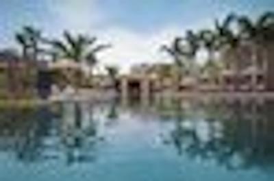 اُن اند اُنلی کاپ تون