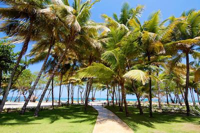 ایبرستار کستا درادا