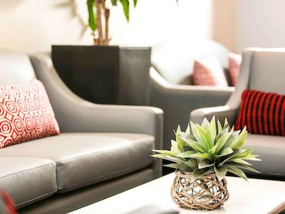 ایبیز اسیدنی ورلد اسکوار