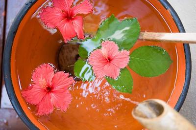 آنگسانا ایهورو