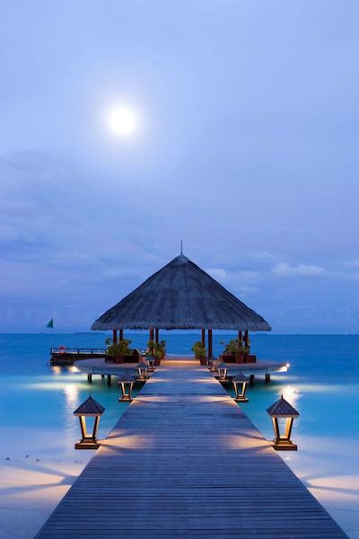 آنگسانا ایهورو