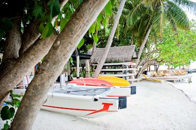 آنگسانا ایهورو