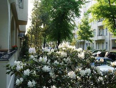 هتل-پنشن ماجستی