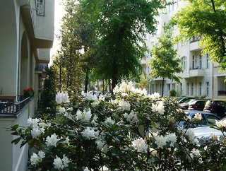 هتل-پنشن ماجستی