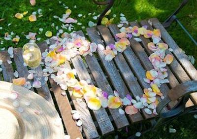 رینگهتل اپلباوم