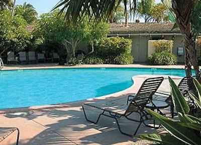 بست وسترن پلاس ایسلاند پالمز هتل اند مارینا