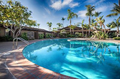 بست وسترن پلاس ایسلاند پالمز هتل اند مارینا