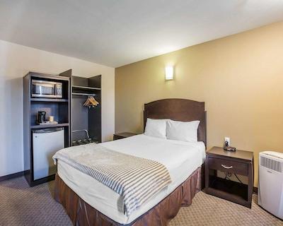 اکنو لج این اند سویتز سیتی سنتر