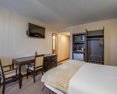 اکنو لج این اند سویتز سیتی سنتر