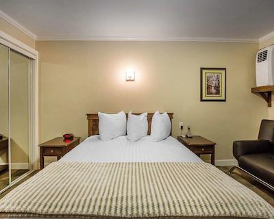 اکنو لج این اند سویتز سیتی سنتر