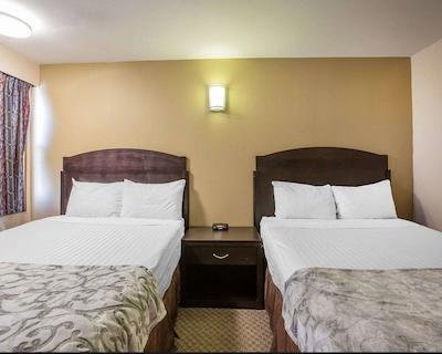 اکنو لج این اند سویتز سیتی سنتر