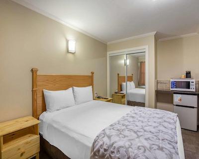 اکنو لج این اند سویتز سیتی سنتر