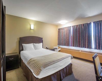 اکنو لج این اند سویتز سیتی سنتر