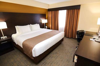 کوالیتی این اند سویتز