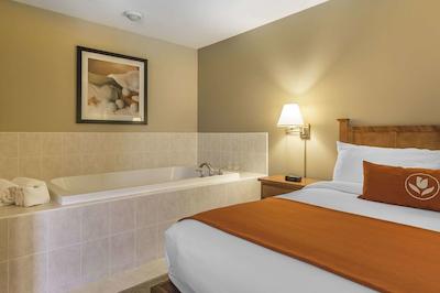 امستردام این اند سویتز فردریکتون