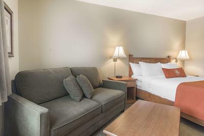 امستردام این اند سویتز فردریکتون