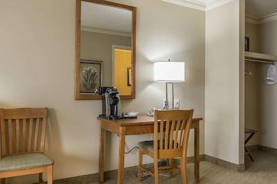 امستردام این اند سویتز فردریکتون