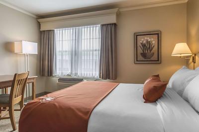 امستردام این اند سویتز فردریکتون