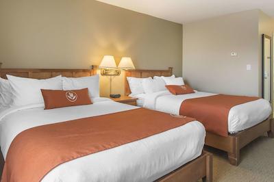 امستردام این اند سویتز فردریکتون