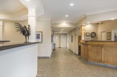 امستردام این اند سویتز فردریکتون