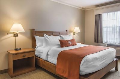 امستردام این اند سویتز فردریکتون