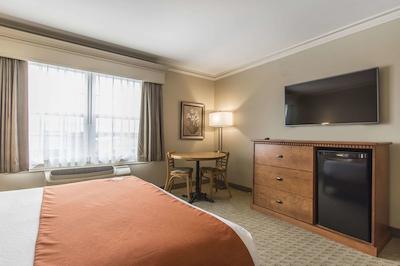 امستردام این اند سویتز فردریکتون