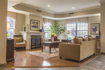 امستردام این اند سویتز فردریکتون