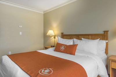 امستردام این اند سویتز فردریکتون