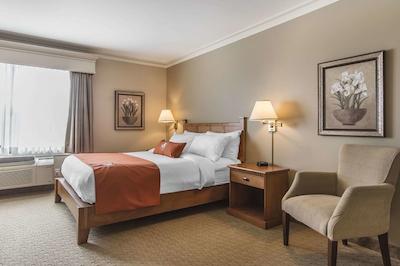 امستردام این اند سویتز فردریکتون