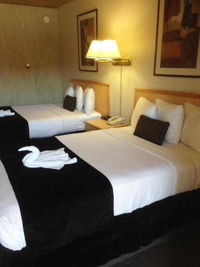 کاناداز بست والو این اند سویتز فرنی