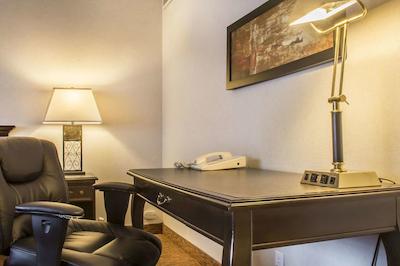 کوالیتی این سارنیا