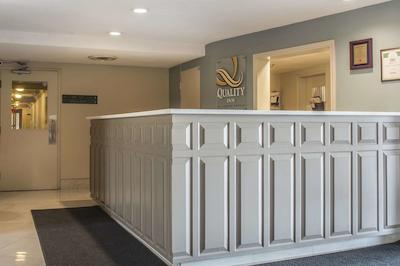 کوالیتی این سارنیا