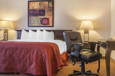 کوالیتی این سارنیا