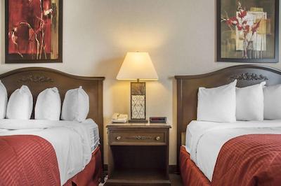 کوالیتی این سارنیا