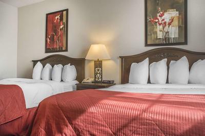 کوالیتی این سارنیا