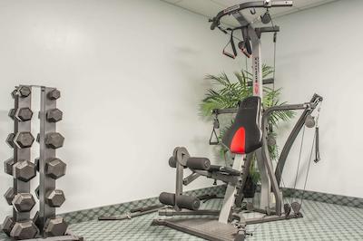 کوالیتی این سارنیا