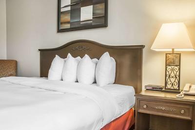 کوالیتی این سارنیا