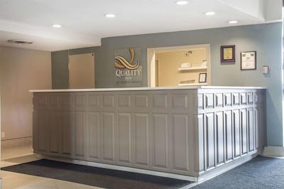 کوالیتی این سارنیا