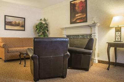 کوالیتی این سارنیا