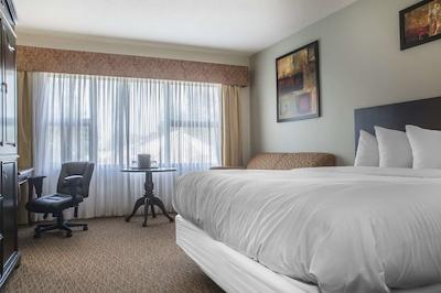 کوالیتی این سارنیا