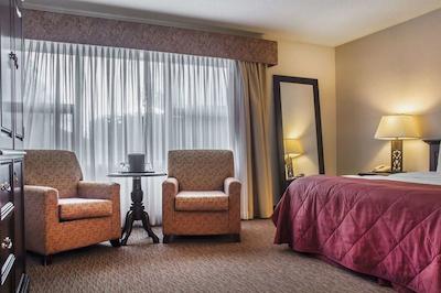 کوالیتی این سارنیا