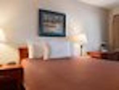 تراولج لانگلی سیتی