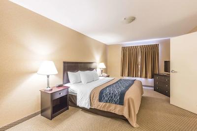 کمفرت این اند سویتز رد دیر