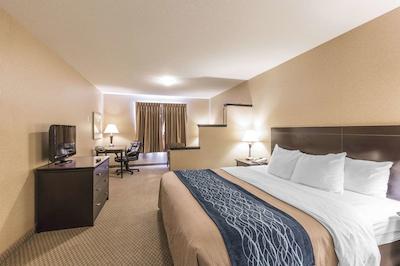 کمفرت این اند سویتز رد دیر