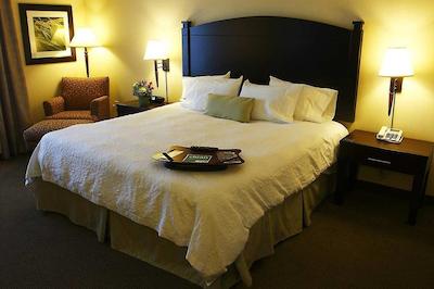 هامپتون این اند سویتز بای هیلتون منکتون