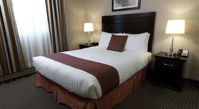 رجنسی سویتز