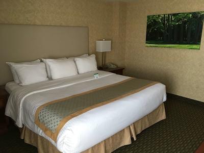 بست وسترن ویاجور پلاس هتل